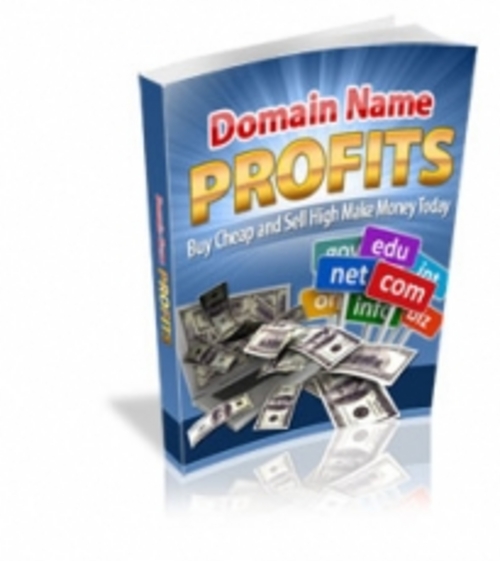 Product picture Domain Name Profits